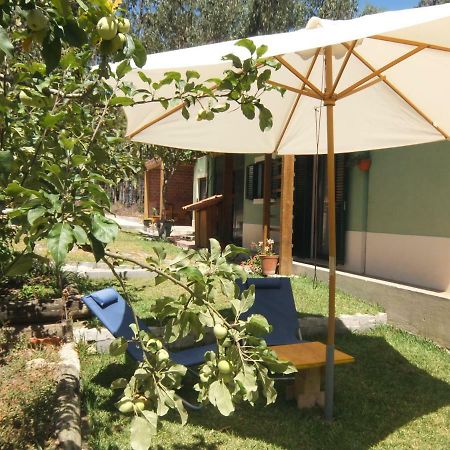 Ecobosque Villa Nadadouro Kültér fotó