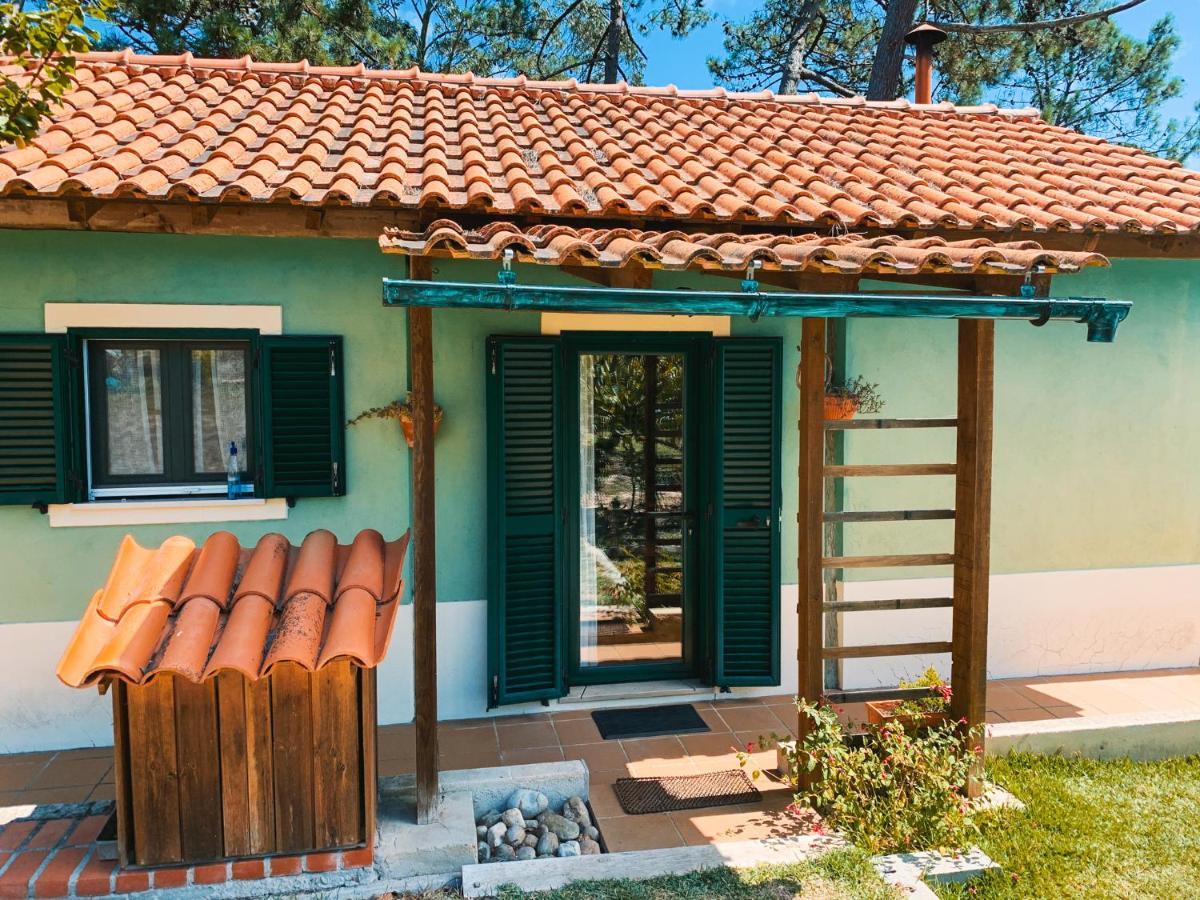 Ecobosque Villa Nadadouro Kültér fotó