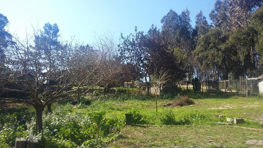 Ecobosque Villa Nadadouro Kültér fotó