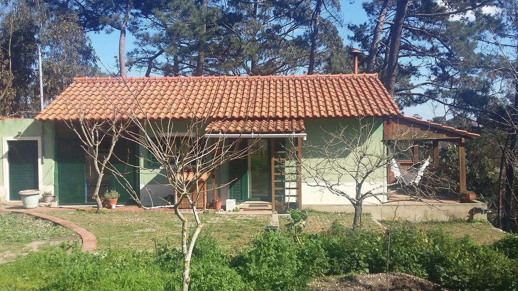 Ecobosque Villa Nadadouro Kültér fotó