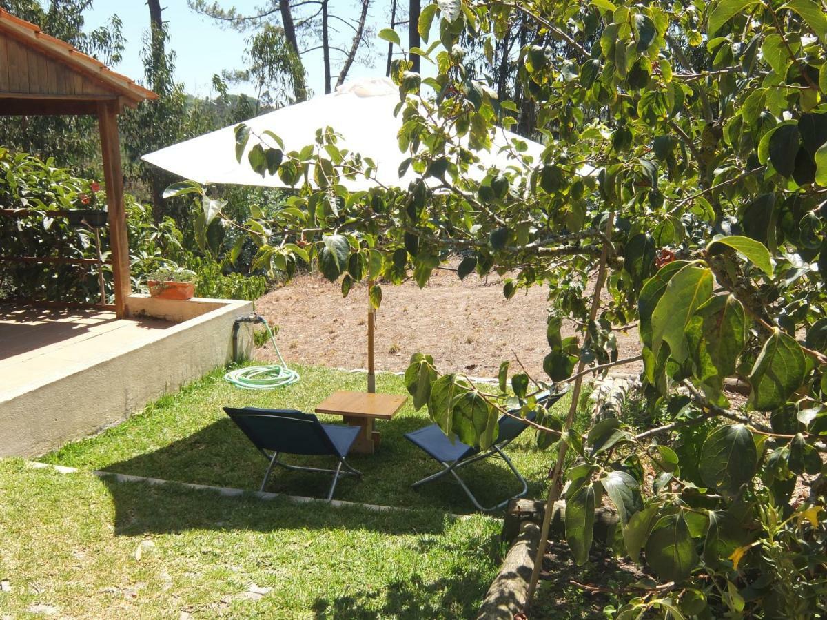 Ecobosque Villa Nadadouro Kültér fotó